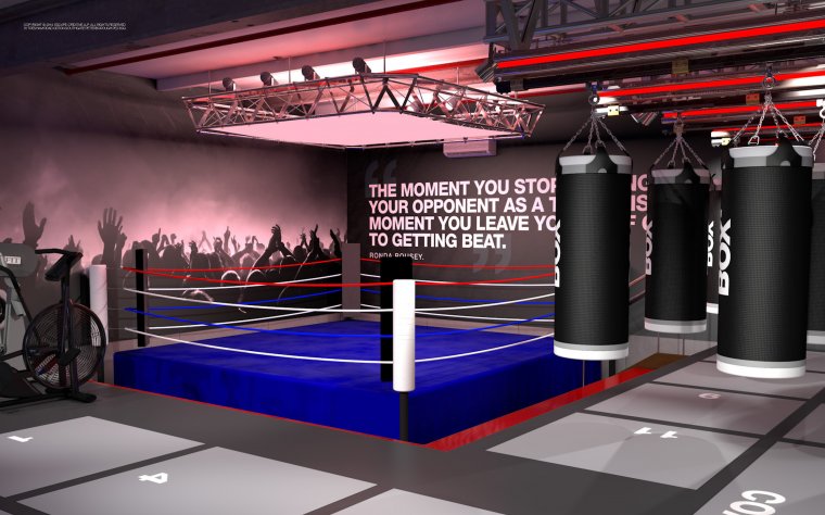 Inspirace ze světa bojových sportů Combat a Box zóny 3.jpg