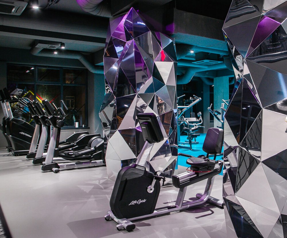 1 state of fitness2.jpg
