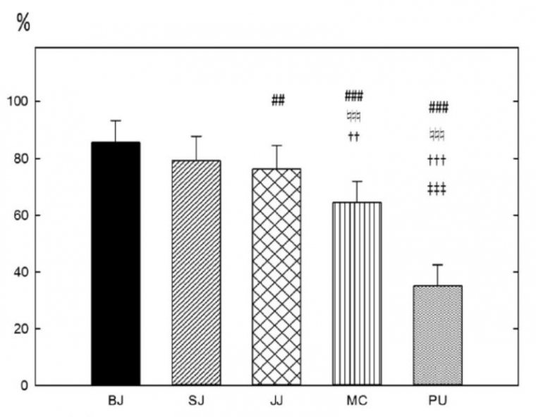 TABATA a její misinterpretace (2).jpg