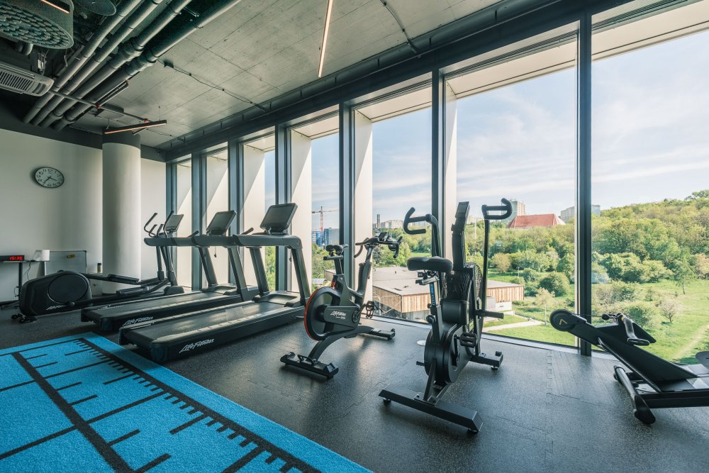 3DF - SCS Software_web (5 of 11).jpg