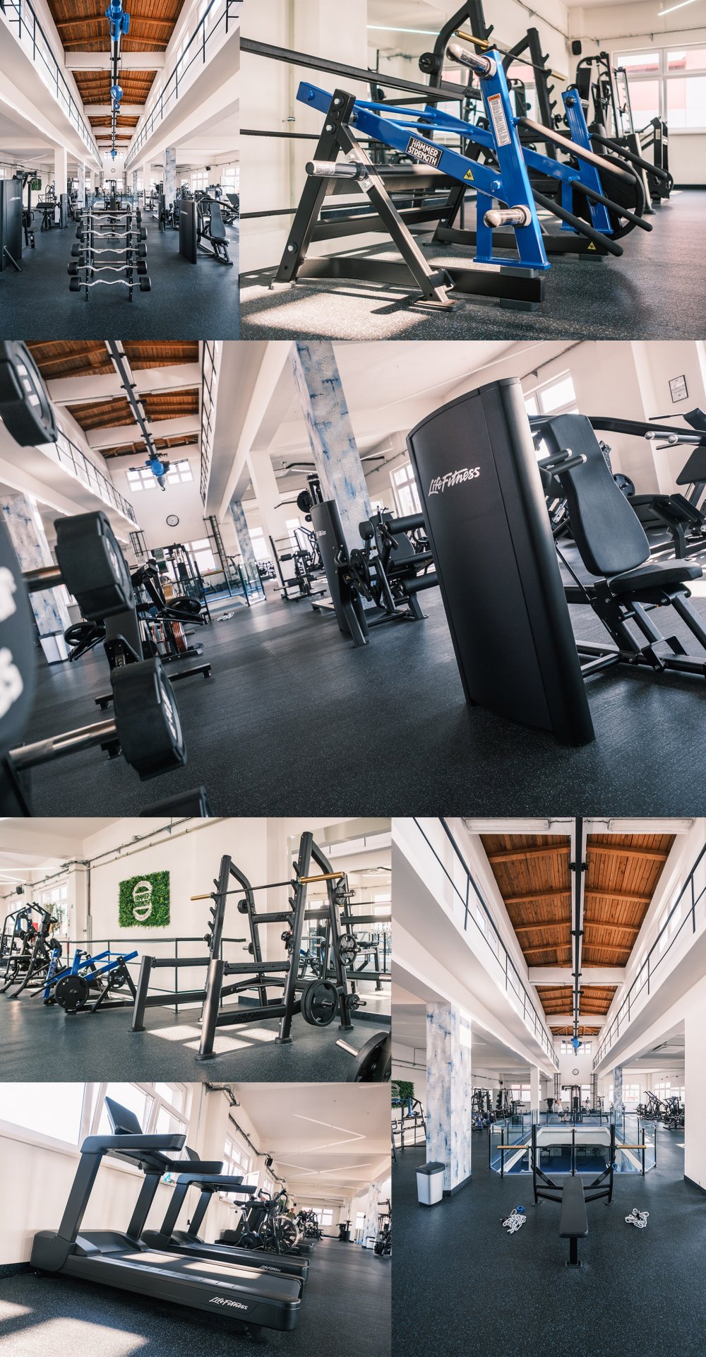 3DF - Georges Fitness Kolín_MOZAIKA ok.jpg