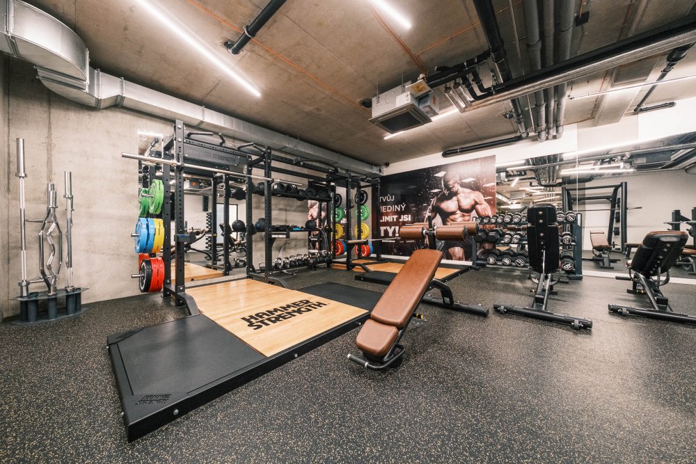 3DF - Villa Fitz_web (10 of 32).jpg