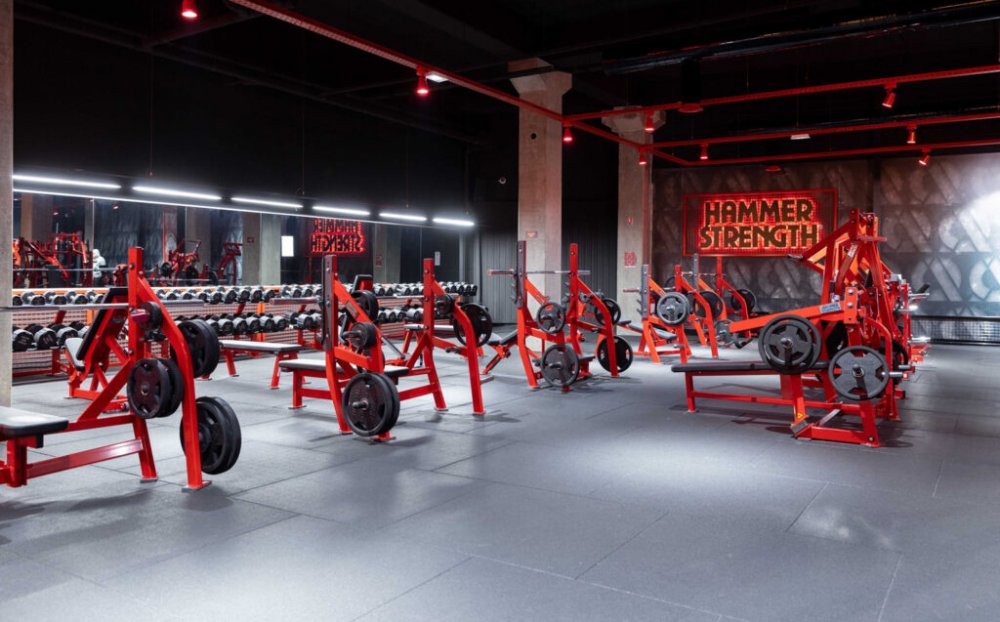 HS plate loaded (1).jpg